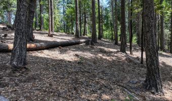 4741 Meko Dr, Camp Connell, CA 95223