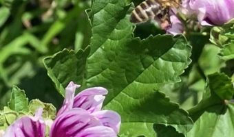 679 New Hope Church Rd, Barbourville, KY 40906