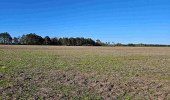 0 Three Mile Rd, Atmore, AL 36502