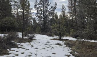 Jaguar Lane lot 7 & 8, Bonanza, OR 97623