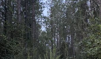 Parcel A Yellow River Baptist Church Road 22 Ac+/-, Baker, FL 32531