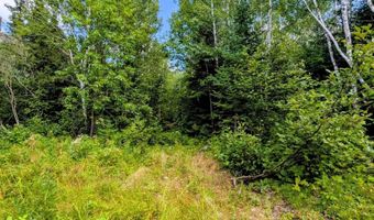 33 Acres Off Net Riv, Amasa, MI 49903