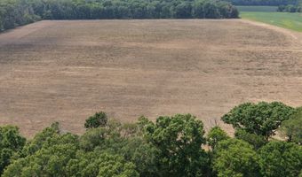 Dawling Bayou Road, Anguilla, MS 38721