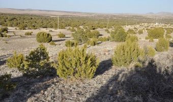 20 County Road 3044, Concho, AZ 85924