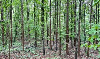 0020 Mount Carmel Rd, Bailey, MS 39320