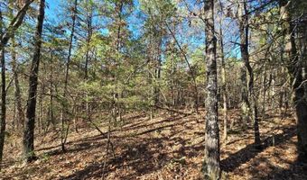 2 TBD Henderson Mill Rd, Bates, AR 72958