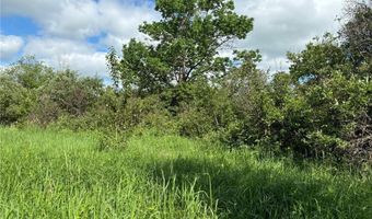 Tbd County Road 7, Bagley, MN 56621