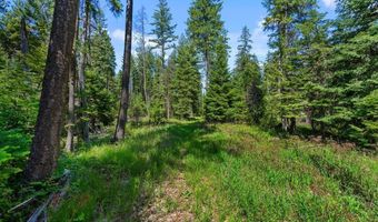 28801 N LEWELLEN CREEK Rd, Athol, ID 83801