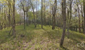 27 Woodtrail Way, Arden, NC 28704