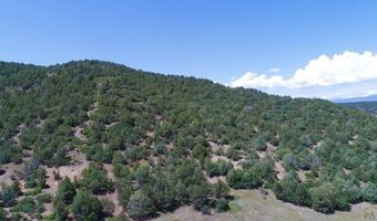 25850 River Pines Rd, Aguilar, CO 81020