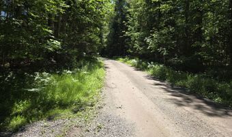 6780 Macey Ln, Alpena, MI 49707