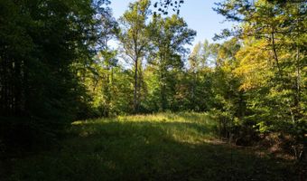 501 Caldwell Rd, Blacksburg, SC 29702