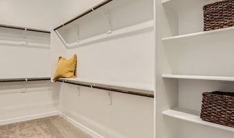 4852 S 231st Dr, Buckeye, AZ 85326