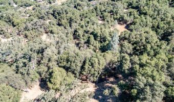 41902 Woodward Way, Ahwahnee, CA 93601