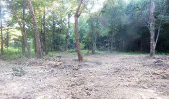 424 247 Country Rd, Bruce, MS 38915