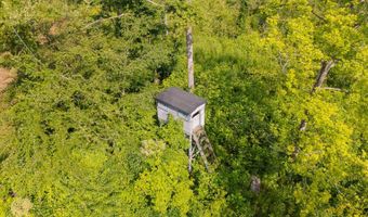 1000 Point Mason Rd, Big Sandy, TN 38221