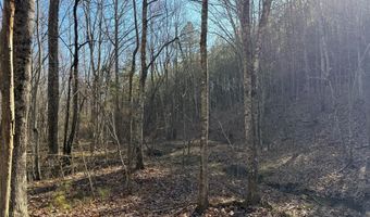 MOUNTAIN CUT RD lot B, Appomattox, VA 24522