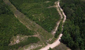 Tucker Road lot 11, Bath Springs, TN 38311