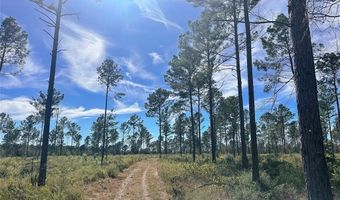 Tbd CR 4328, De Kalb, TX 75559