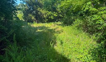 Co Rd 539, Ava, MO 65629