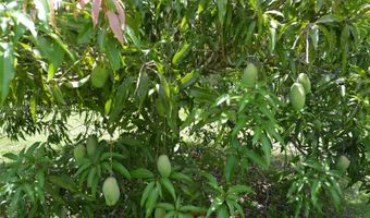 18220 Elmwood Dr, Alva, FL 33920