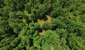 County Road 200, Alton, MO 65606
