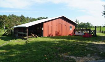 339 MCNUTT Rd, Bear Creek, AL 35543