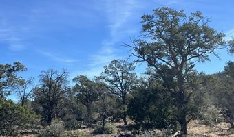 362 Big View Trl, Ash Fork, AZ 86320