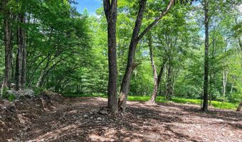 Woodland Hills Road, Andes, NY 13731