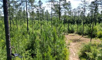 8450 Robinsonville Rd, Atmore, AL 36502