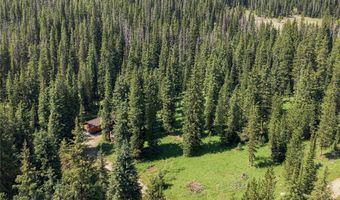 441 Red Lion Rd, Anaconda, MT 59711