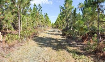 100 Doc Hunter Rd, Baxley, GA 31513