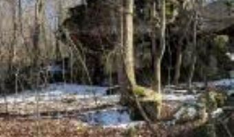 Whiskey Creek Lane, Batesville, AR 72501