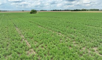 290 CR, Asbury, MO 64832