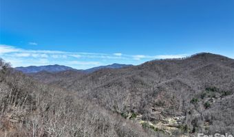 11 Taryn Trce 16, Barnardsville, NC 28709