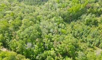 Tbd 359TH LN, Aitkin, MN 56431