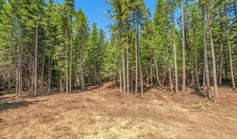 NKA Wandering Wolf Ridge Lot 3, Clark Fork, ID 83811
