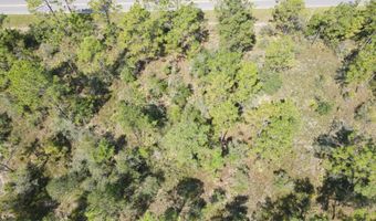 21947 NW Isoletta Rd, Altha, FL 32421