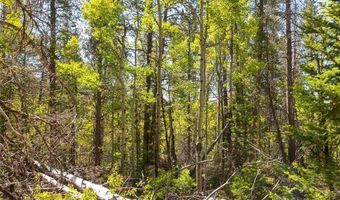 715 Lewsader Rd Lot 0, Alma, CO 80420