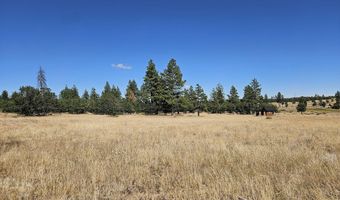 67 TIMBER Ln, Bickleton, WA 99322