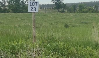 TBD Lot 23 Barbedwire Court, Belle Fourche, SD 57717