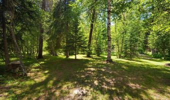 163 Bussard Lake Rd, Bonners Ferry, ID 83805