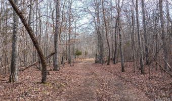760 County Road 203, Annapolis, MO 63620