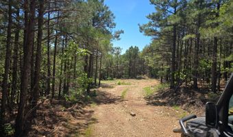 TR 18 & 19 LONG CREEK PASS, Albion, OK 74571