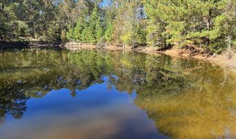 7501 Rainey Morris Rd, Appling, GA 30802