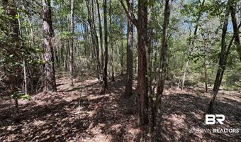 Ronald Sanks Road, Bay Minette, AL 36507