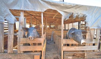 715 FAZZINI Rd, Babson Park, FL 33827