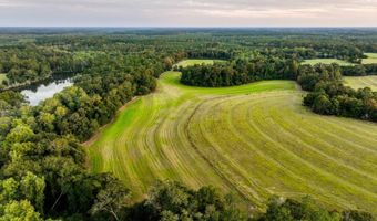 100 Acres Harmony Church Rd, Andalusia, AL 36421