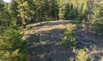 18 Tito Trl Lot 8, Cascade, ID 83611
