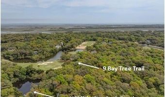 9 Bay Tree Trl, Bald Head Island, NC 28461
